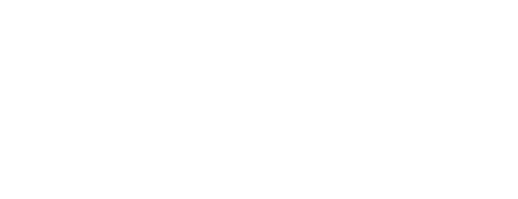 Electro Wifanny Logo